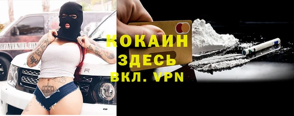 дмт Болотное