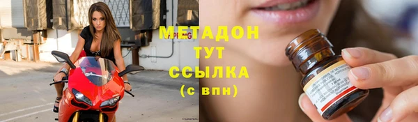 дмт Болотное