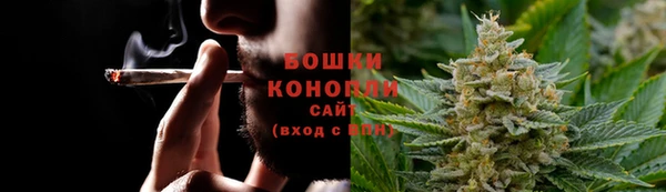 дмт Болотное