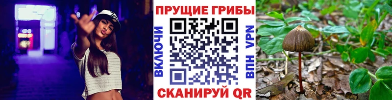 кракен онион  Емва  Псилоцибиновые грибы ЛСД 